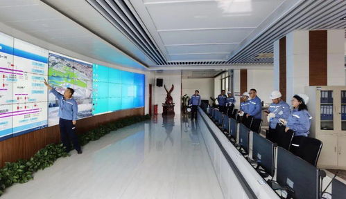 中鋁股份技術(shù)專(zhuān)家服務(wù)組助力包鋁應(yīng)對(duì)頻繁大幅限電挑戰(zhàn)